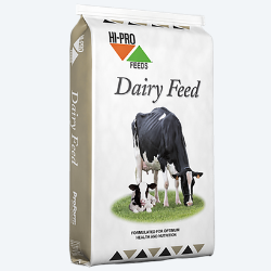 16% Dairy Cow Lactation Ration