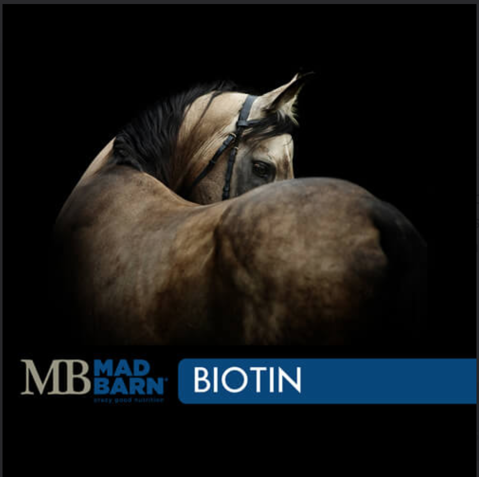 Mad Barn BIOTIN 0.5% -1 Kg