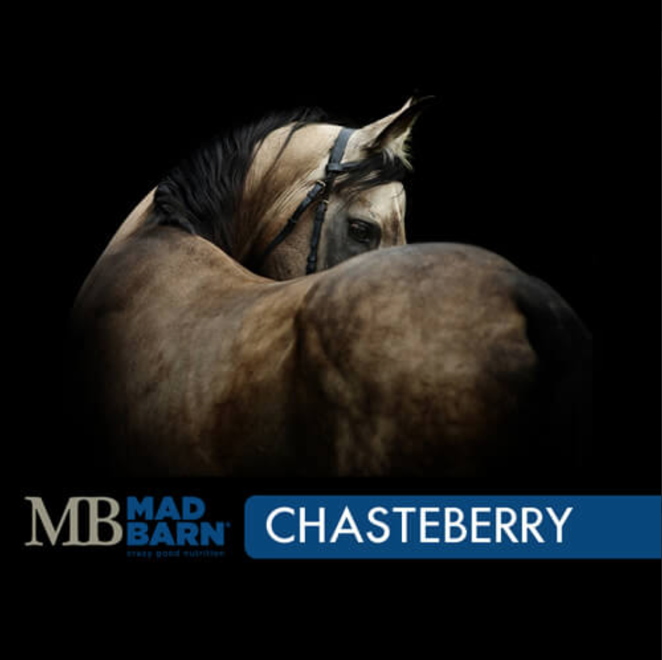 Mad Barn CHASTEBERRY - 1Kg