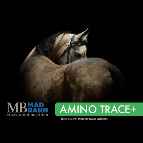 Mad Barn Amino Trace (AT+) 20kg