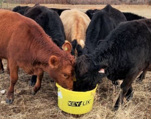 Key-Lix 30:10 Cattleman&#39;s Tub