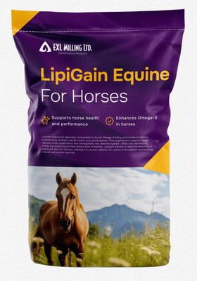 LipiGain Equine
