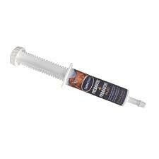GO-2 Prebiotic + Probiotic Paste - 80 ml