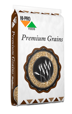 Soybean Meal