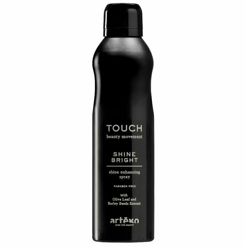 Artego Touch Shine Bright Spray