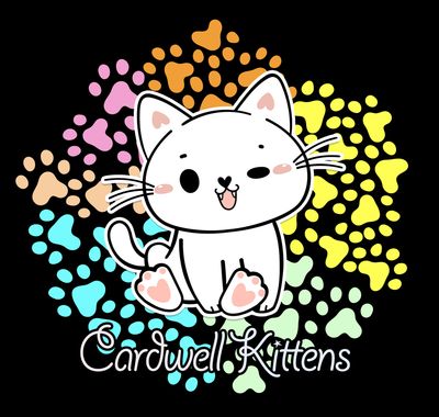 Cardwell Kittens