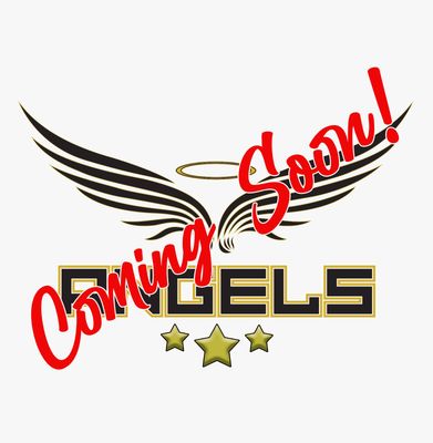 The Angels Academies