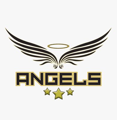 The Angels Academies
