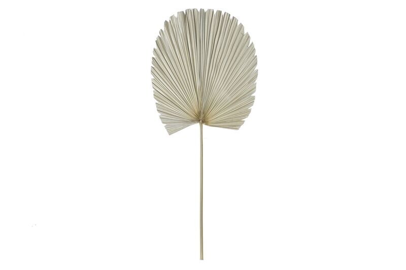 HOJA DE PALMERA