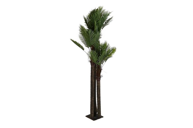 PALMERA TRIPLE