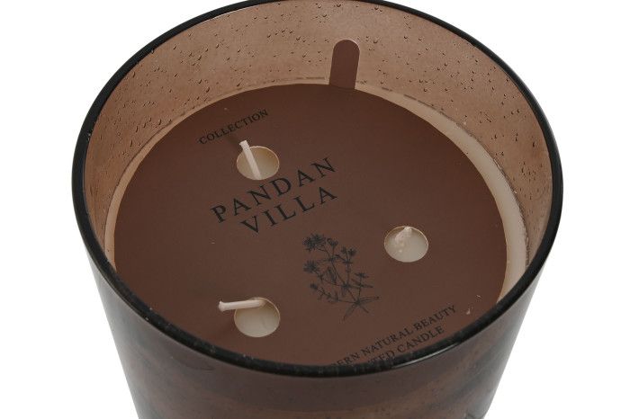 VELA BULLAE M