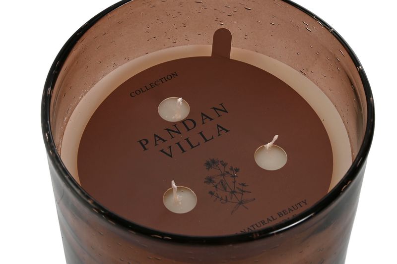 VELA BULLAE L