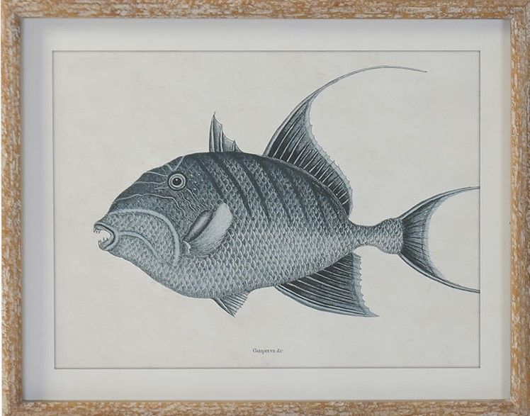 CUADRO IKAN