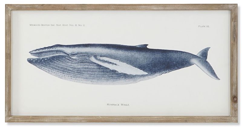 CUADRO BALLENA