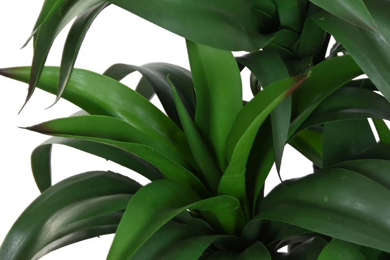 PLANTA RESIN