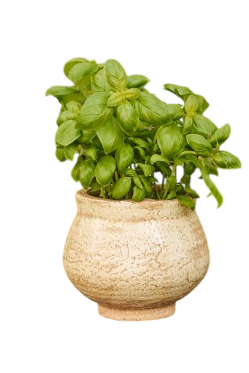 MACETA CRAQUELADA