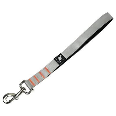 Durable Pet Dog Leash Car Seat Belt