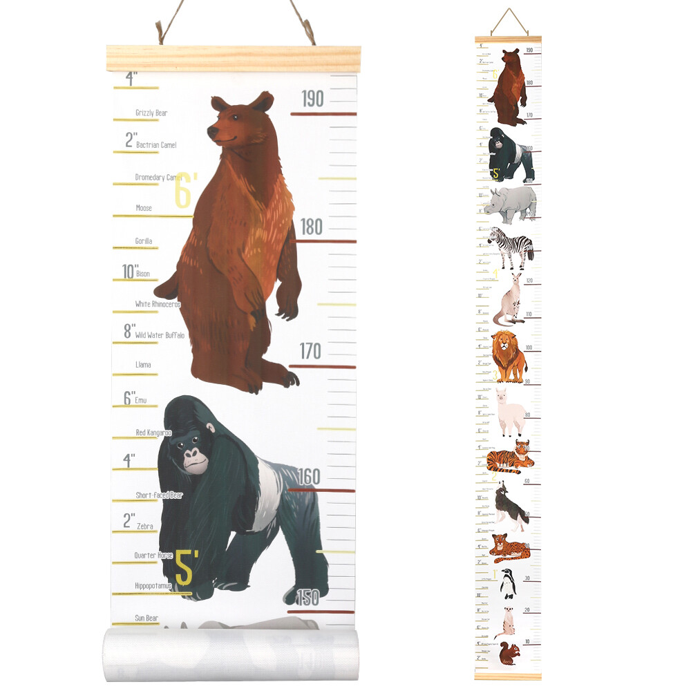 Animal Height-Comparison Chart