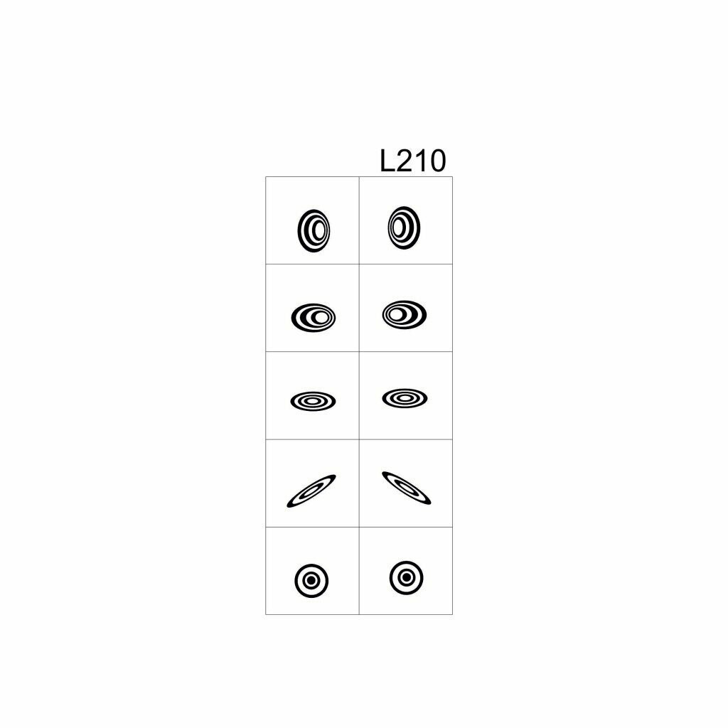 #210