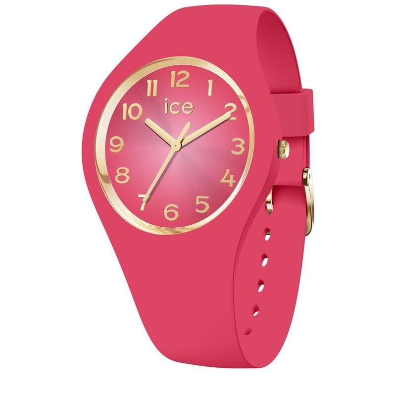 Montre Ice Watch