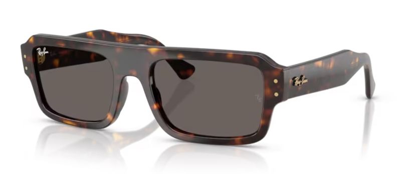 Solaire Ray Ban