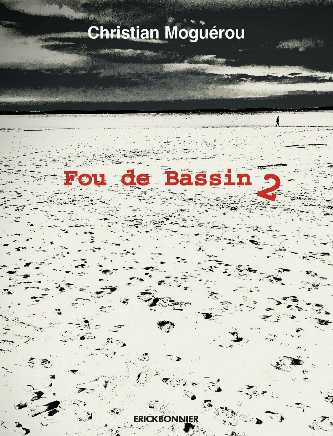 FOU DE BASSIN 2 FOU DE BASSIN 2