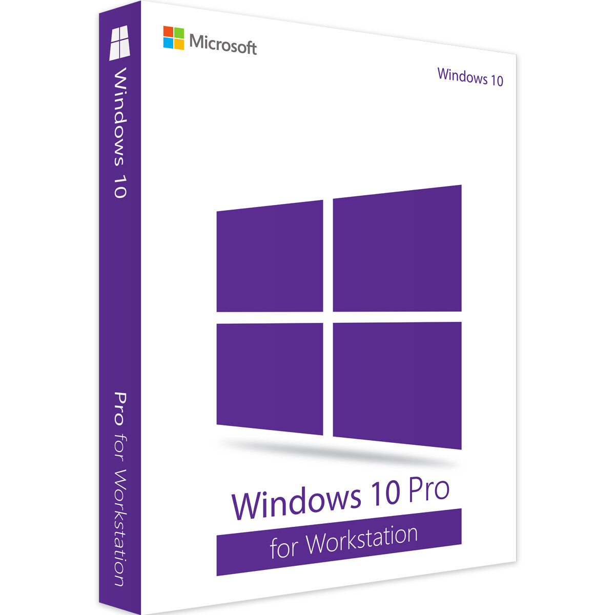 Windows 10/11 PRO for WORKSTATION 1 PC