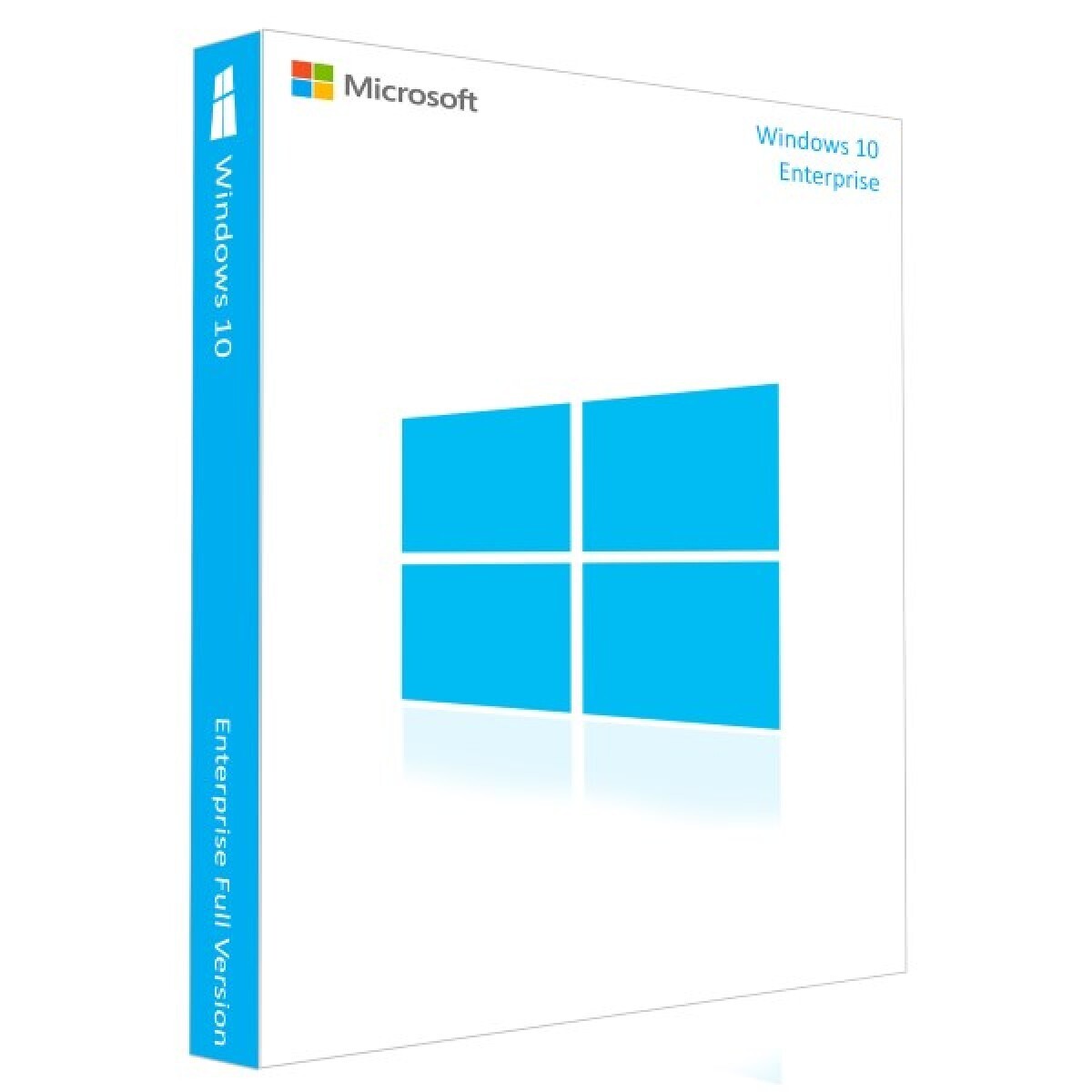Windows 10/11 Enterprise 1 PC