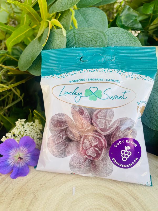 SACHET 100gr RAISIN