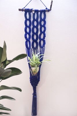 Knotty knot plant hanger