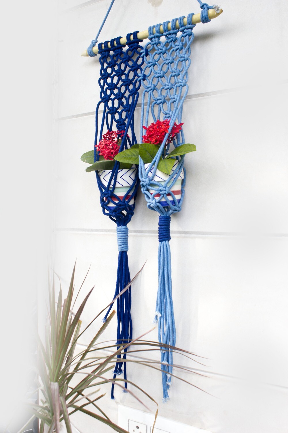 Duet plant hanger