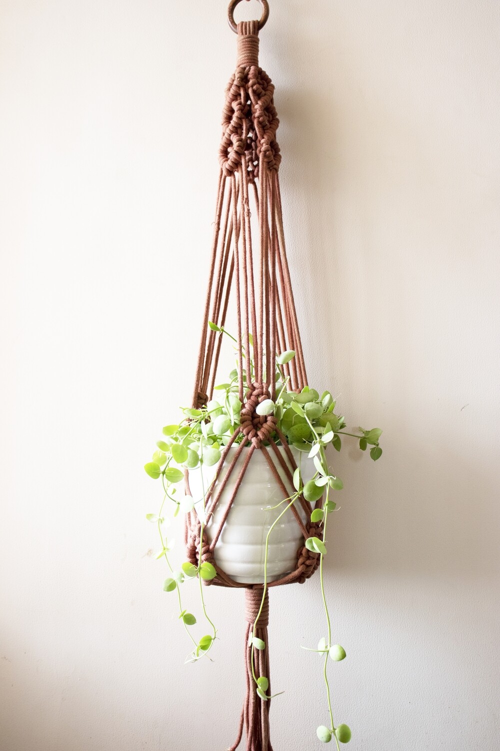 Sea eye plant hanger - Blue / White / Brown