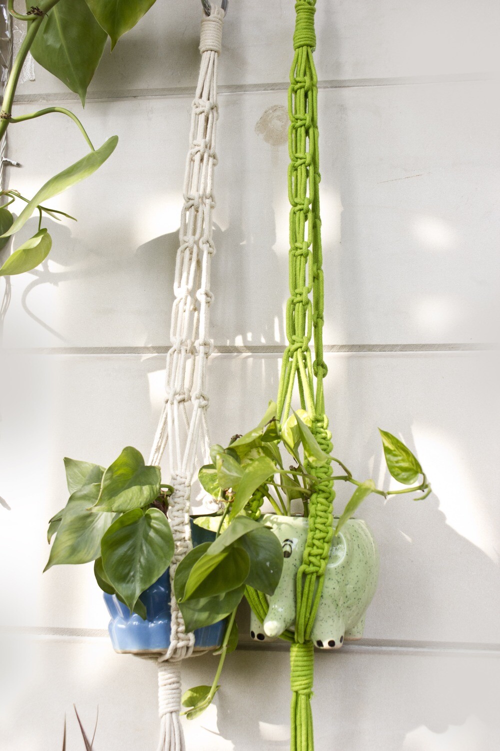 Knot plant hanger