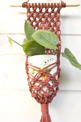 Web plant hanger