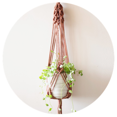 Plant Hanger