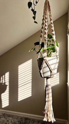 Small white plant hanger