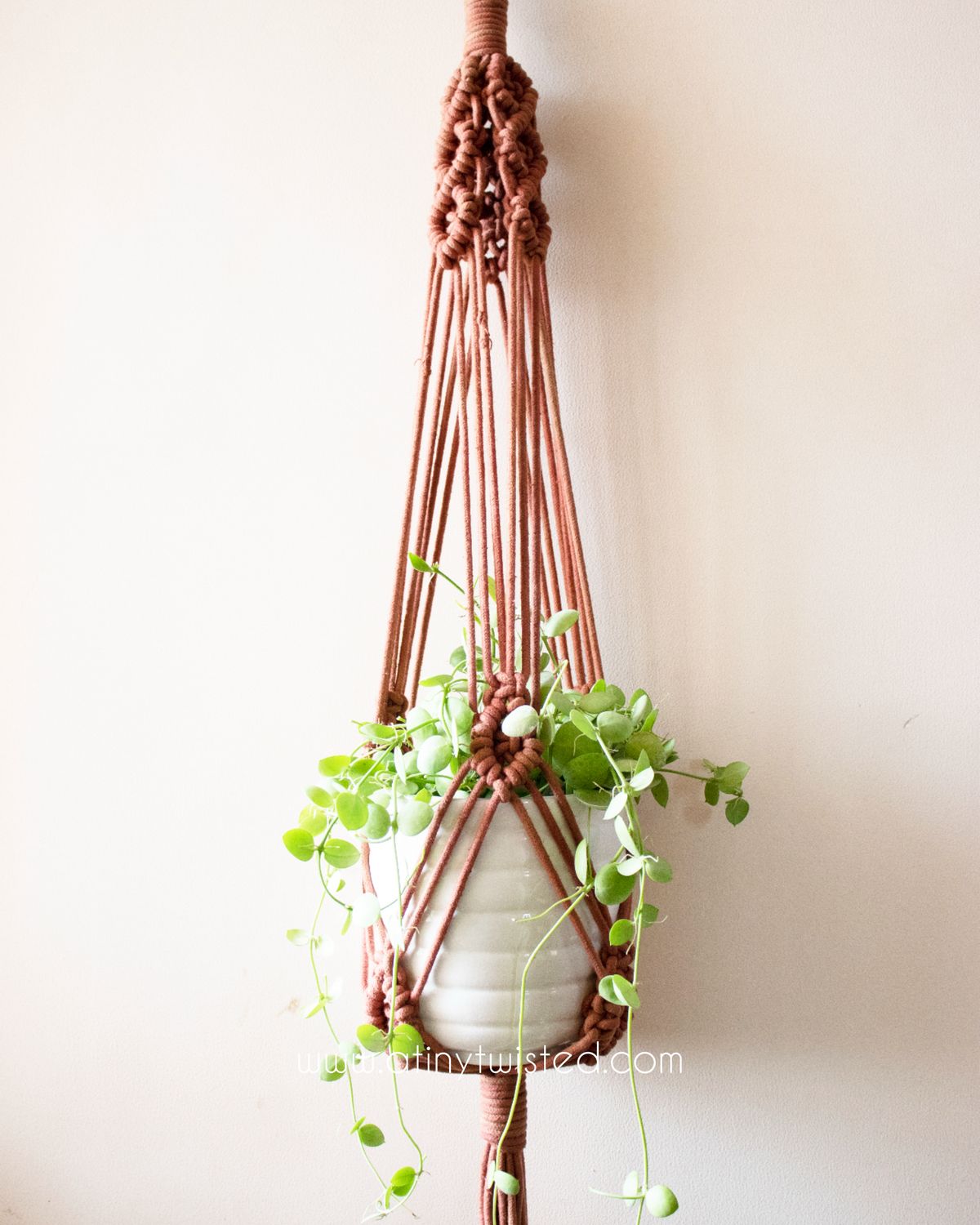 Sea eye plant hanger - Blue / White / Brown