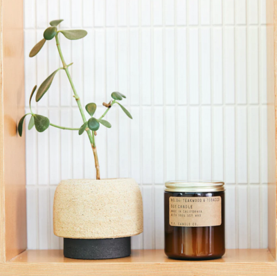 P.F. Candle Co. Teakwood &amp; Tobacco - 7.2oz Soy Candle