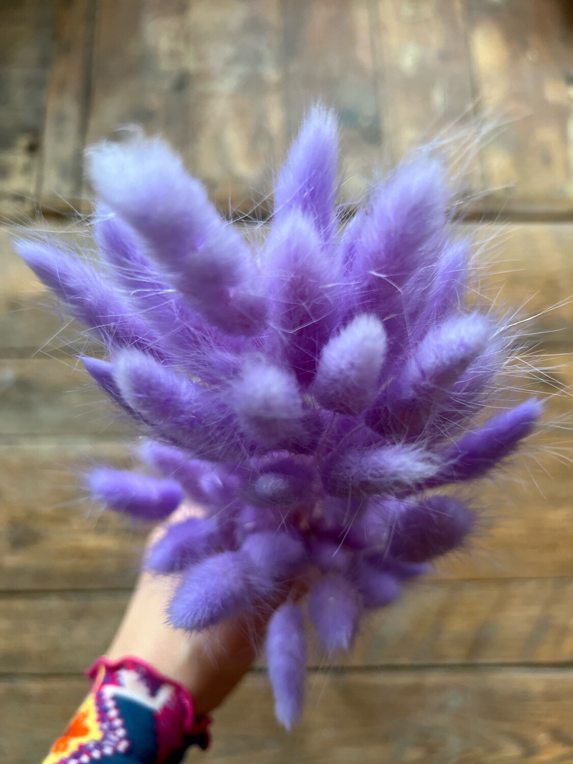 Purple Bunny Tail Bouquet