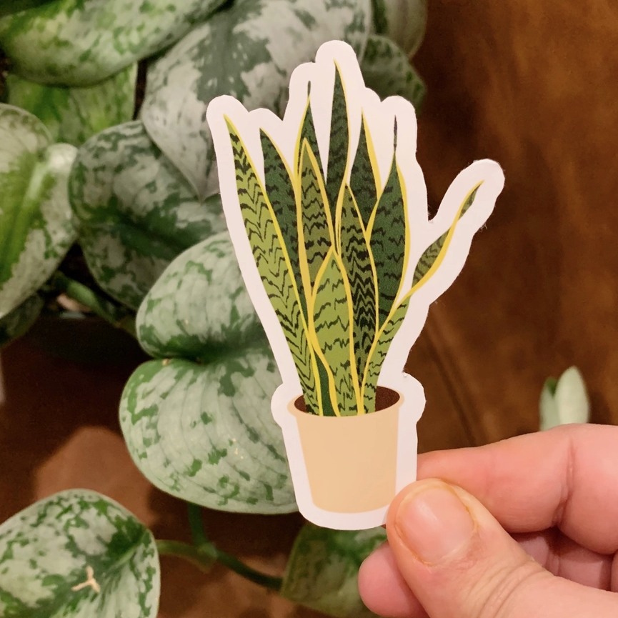 Clay Collection Co. Snake Plant Sticker CL4