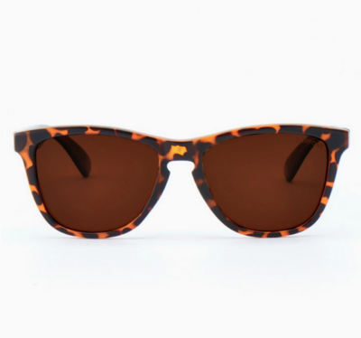 TopFoxx Sunglasses Rise up in Tortoise/Brown TF6