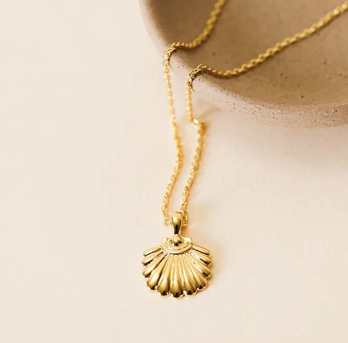 Jax Kelly Seashell Pendant Necklace JX32