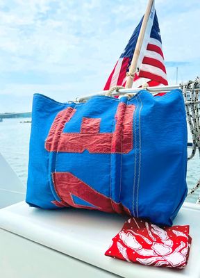 A Wee Maine Artist Nautical Bandana in Red WMA1