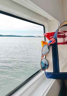 A Wee Maine Artist Nautical Bandana in Red WMA1