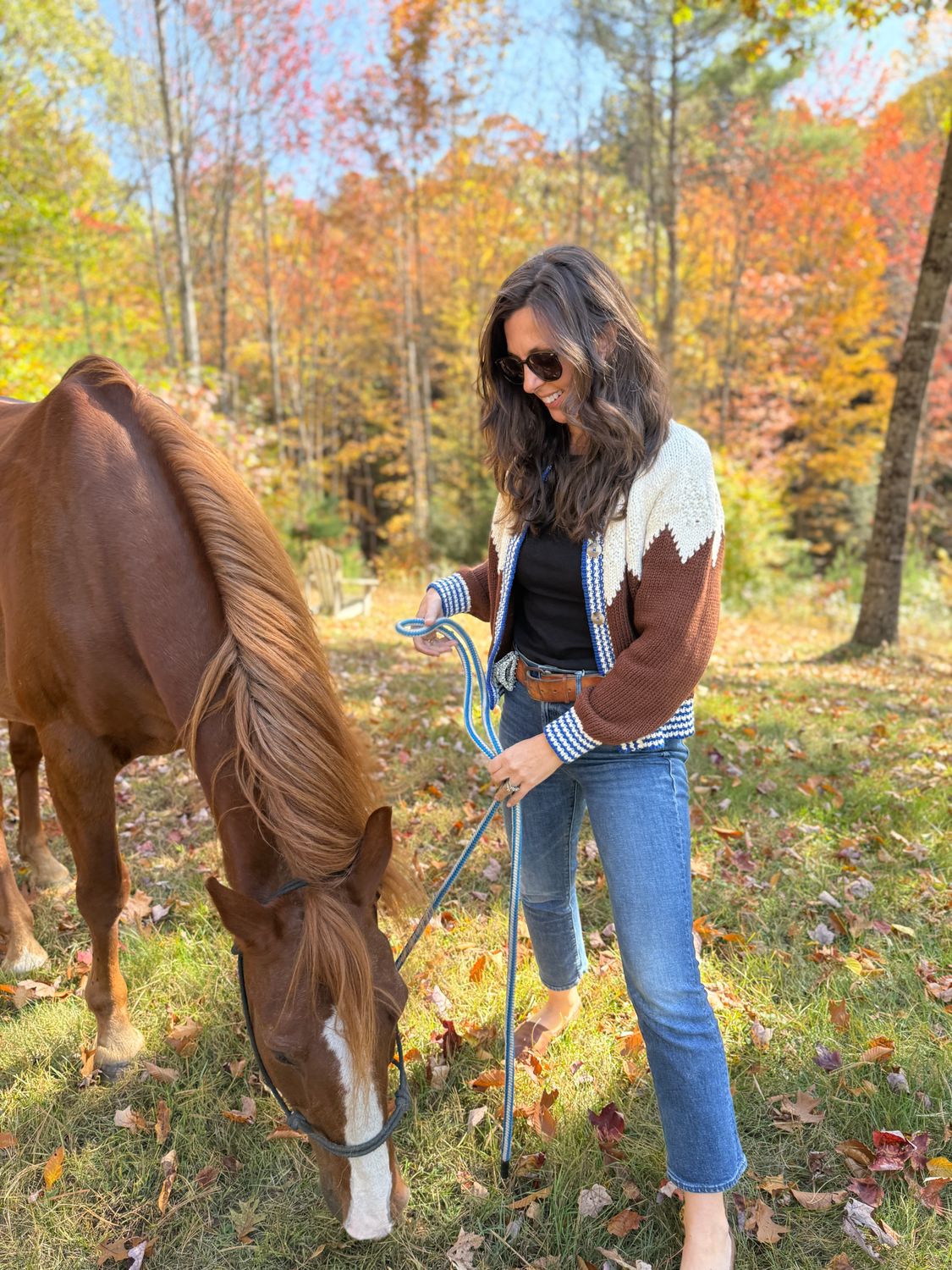 Mother The Raglan Cardigan in Head For The Hills