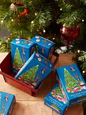 Soap &amp; Paper Factory Home For the Holidays Roland Pine Soap