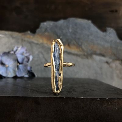 Emilie Shapiro Guardian Ring Size 8 Kyanite ES17