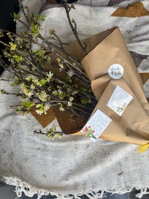 All Products