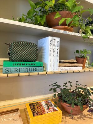 Clare V. Midi Sac in Deep Pine/Chocolate Woven Checker