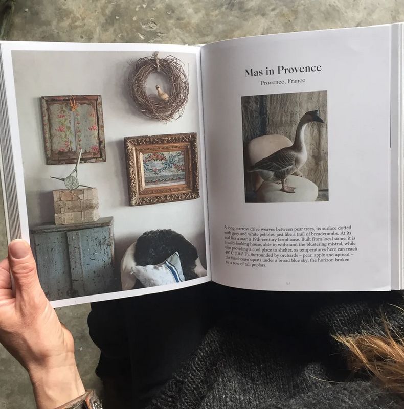 The Foraged Home by Joanna Maclennan